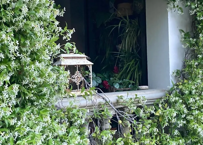 Casa Di Rosa Patrimonio