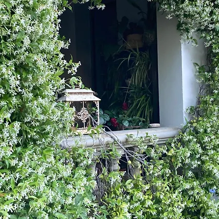 Casa Di Rosa Patrimonio